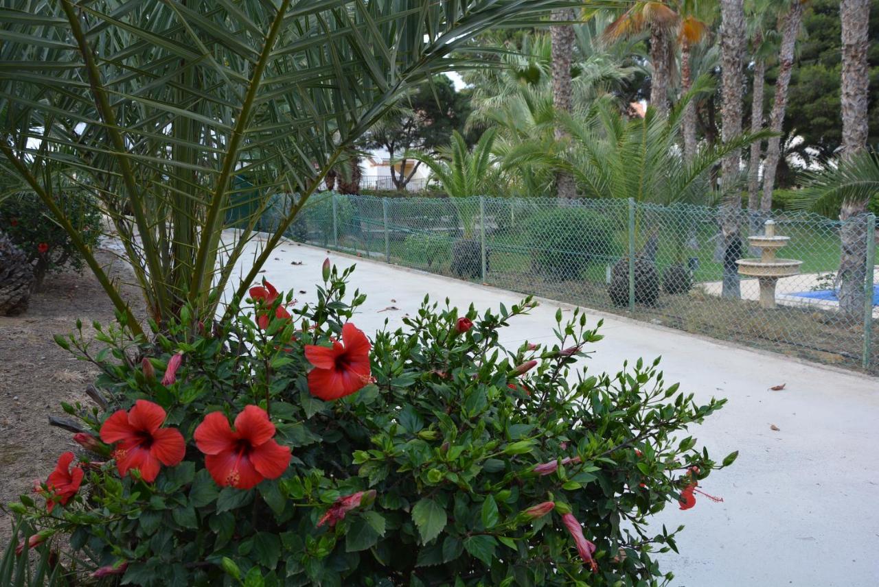 Palmeras, Piscina, Campo De Futbol Y Jardin Privados Mazarrón Екстериор снимка