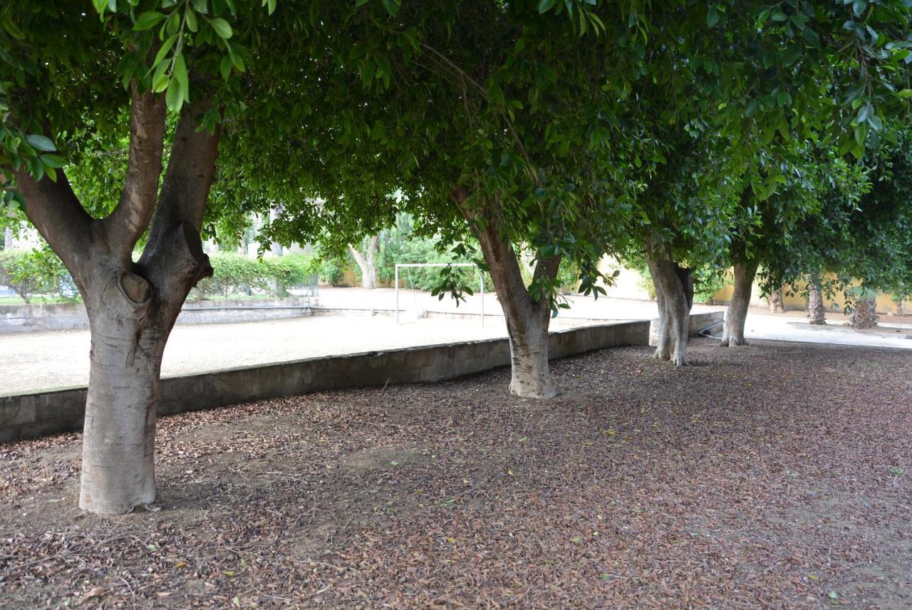 Palmeras, Piscina, Campo De Futbol Y Jardin Privados Mazarrón Екстериор снимка